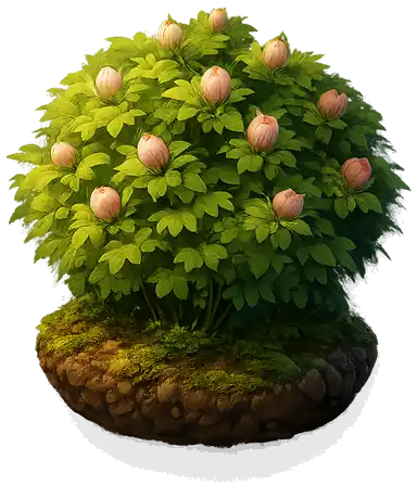 短期心愿长成的花丛